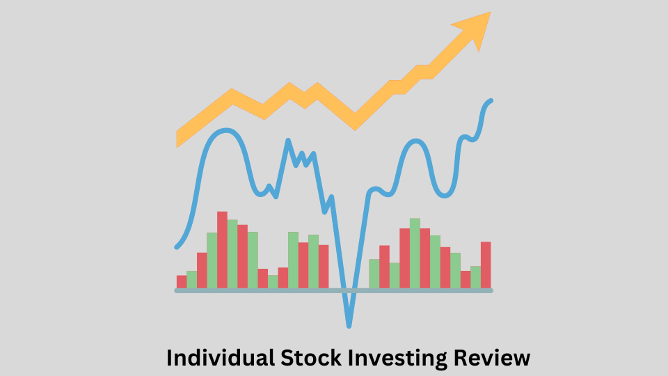 individual stock investing review